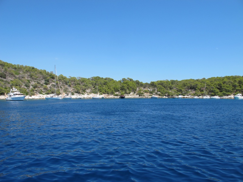 IMG 5648 resized (1)