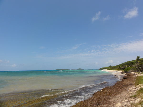 Canouan-Mayreau021
