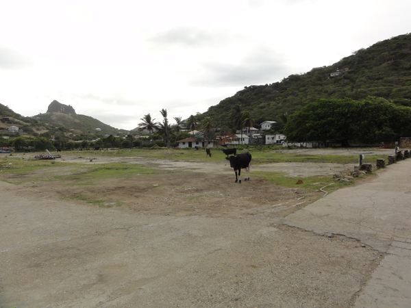 Mayreau-UnionIsland007