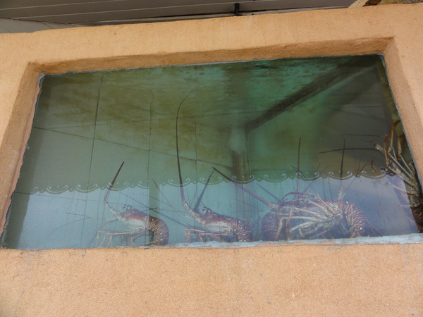 Mayreau-UnionIsland009