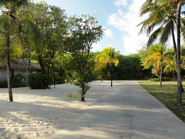 UnionIsland-PetiteStVincent005