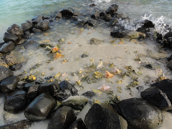 UnionIsland-PetiteStVincent009