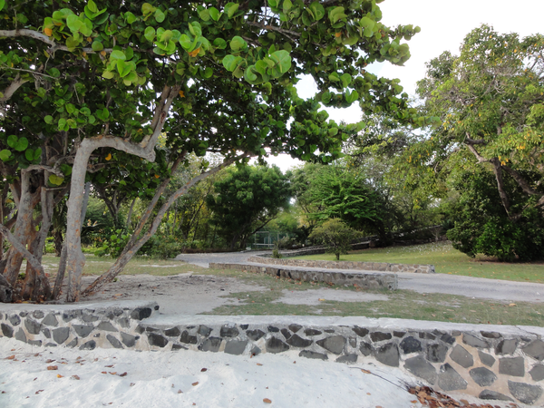 UnionIsland-PetiteStVincent011