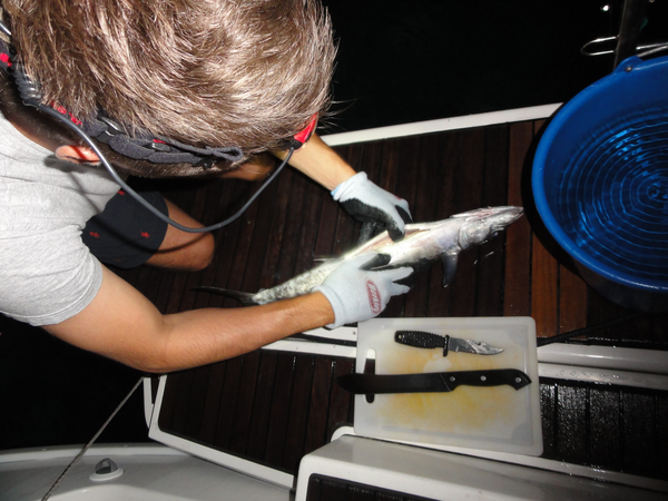 UnionIsland-PetiteStVincent017