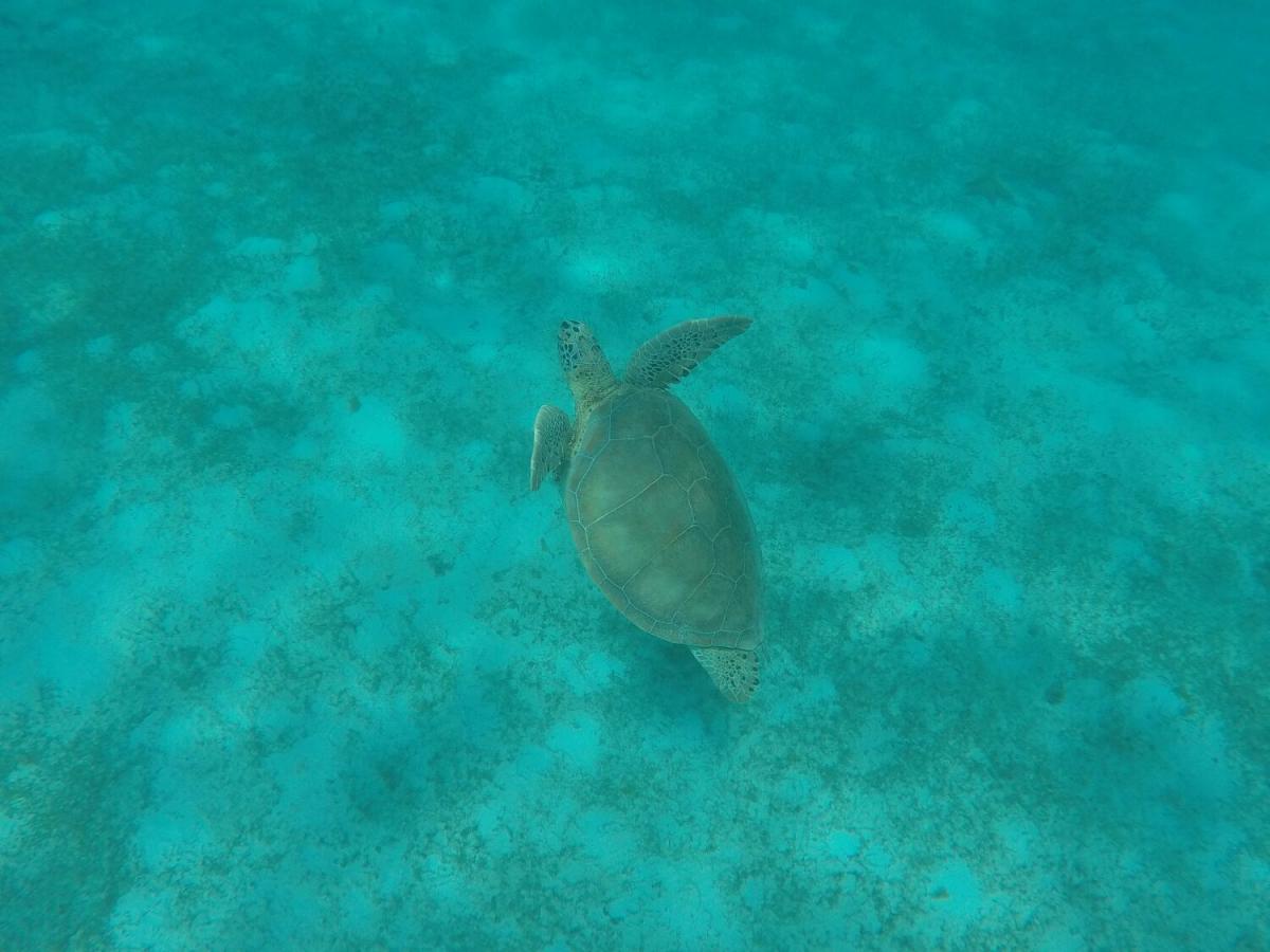 WhatsApp Image 2017-05-08 at 00.25.46