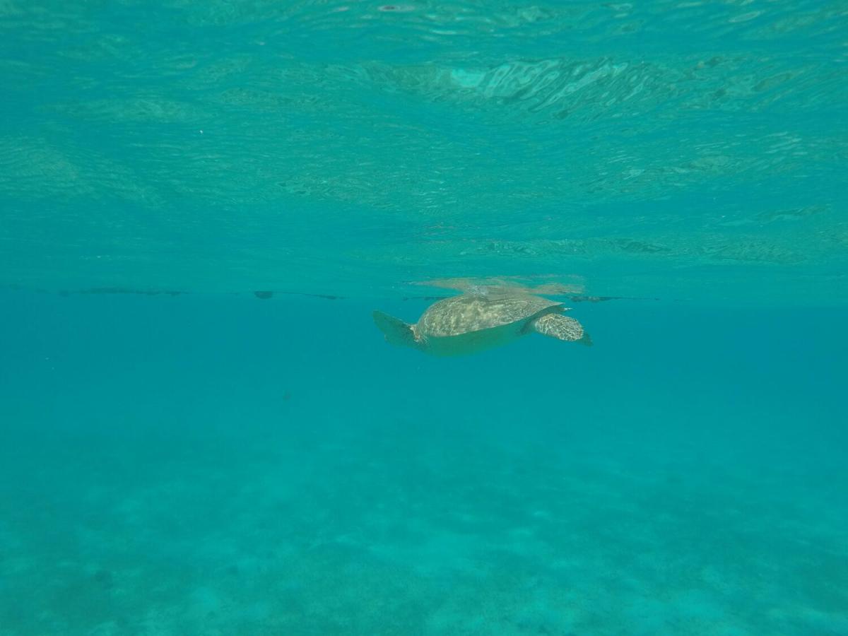 WhatsApp Image 2017-05-08 at 00.26.00