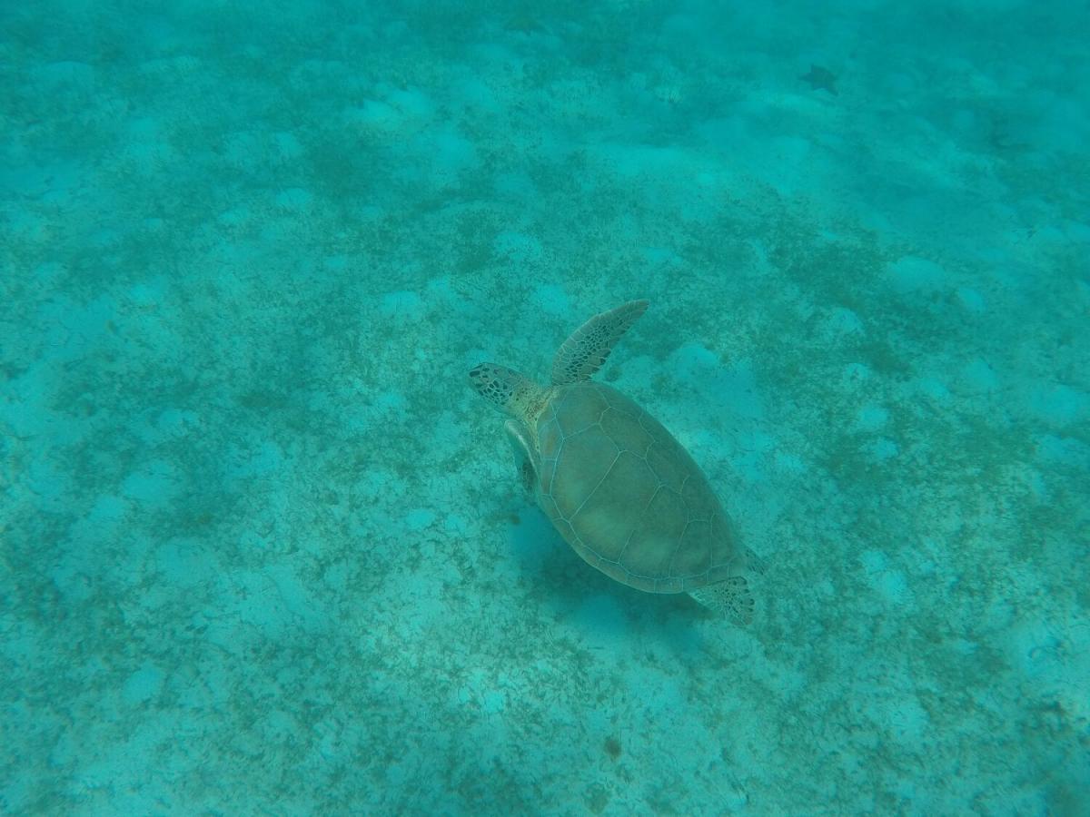 WhatsApp Image 2017-05-08 at 00.26.10