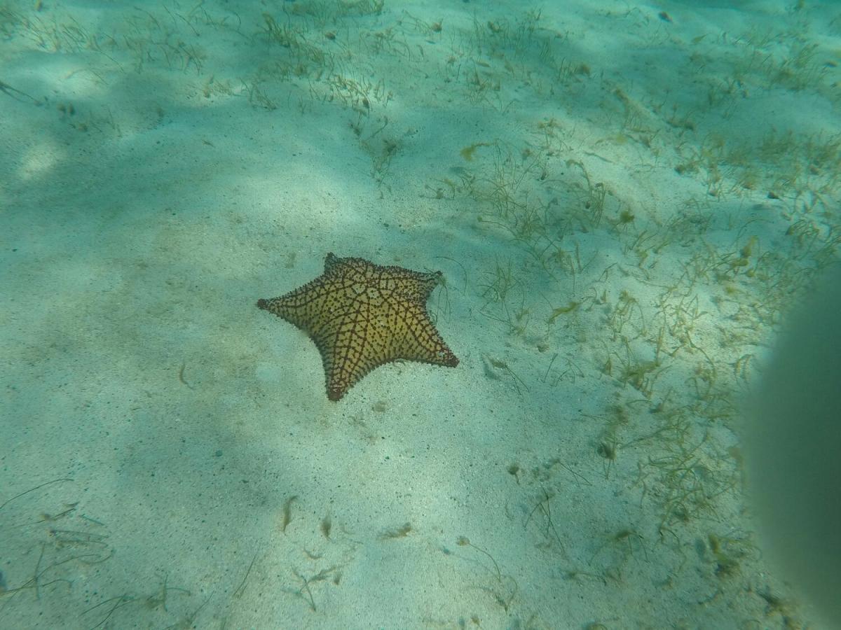 WhatsApp Image 2017-05-08 at 00.26.13