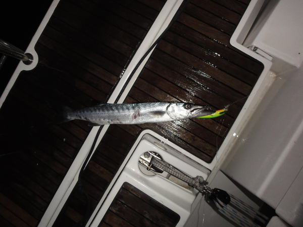 TobagoCays-Bequia005