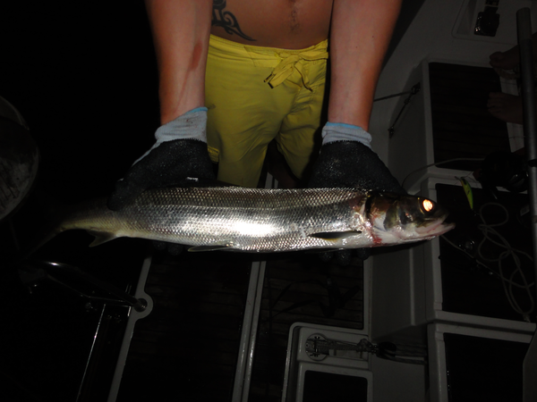 Bequia-CumberlandBay006