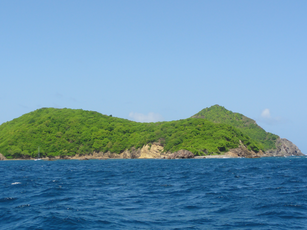 Roseau-LesSaintes003