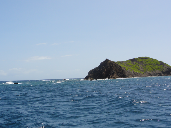 Roseau-LesSaintes004