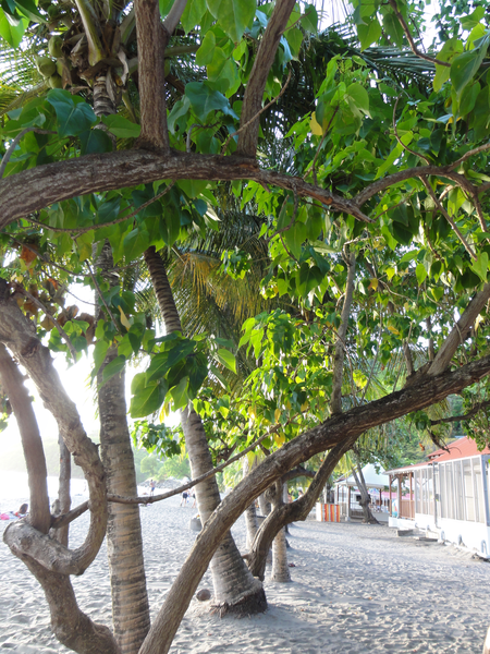 Deshaies-PigeonIsland005