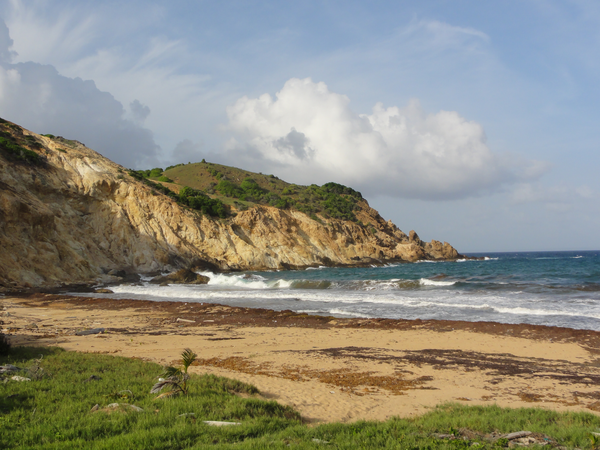 PigeonIsland-DesSaintes007