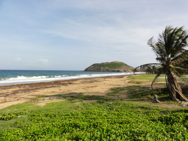 PigeonIsland-DesSaintes008