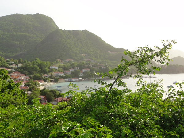 PigeonIsland-DesSaintes011