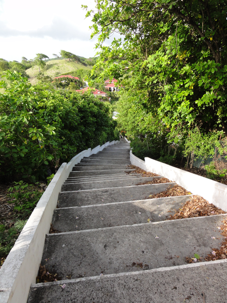 PigeonIsland-DesSaintes013