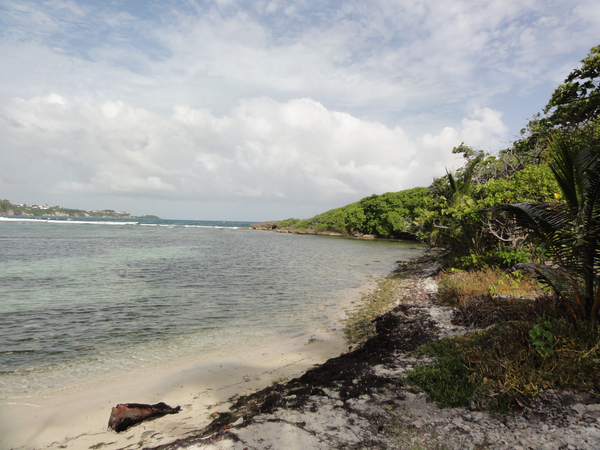 DesSaintes-IletDuGosier003