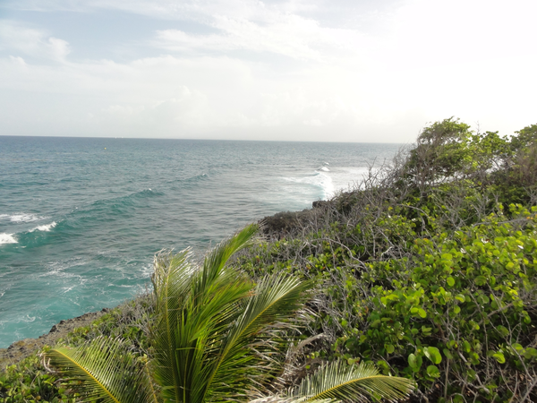 DesSaintes-IletDuGosier006