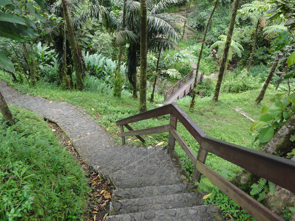 MarieGalante-Roseau-StPierre008