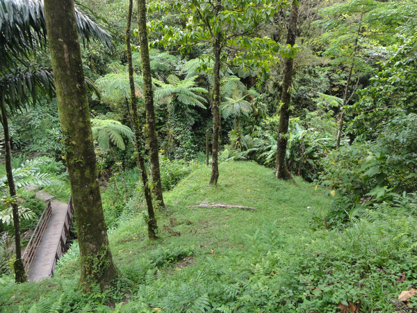 MarieGalante-Roseau-StPierre009