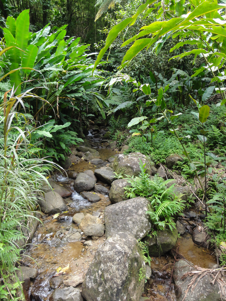 MarieGalante-Roseau-StPierre011