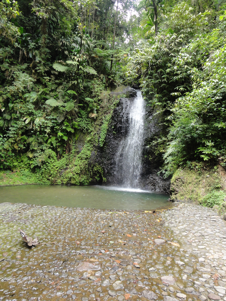 MarieGalante-Roseau-StPierre013