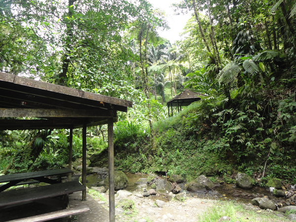 MarieGalante-Roseau-StPierre016