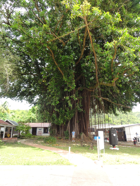 MarieGalante-Roseau-StPierre036