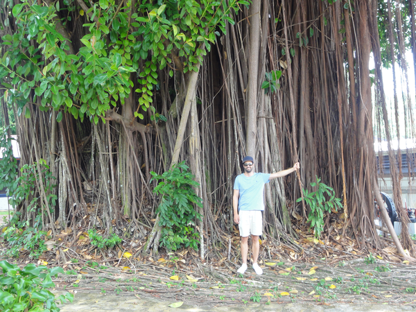 MarieGalante-Roseau-StPierre037