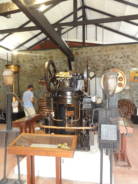 MarieGalante-Roseau-StPierre042