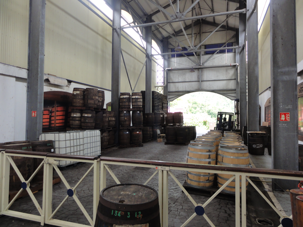 MarieGalante-Roseau-StPierre044