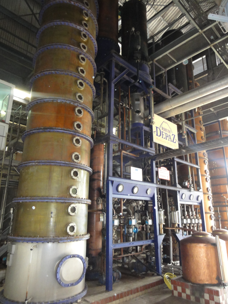 MarieGalante-Roseau-StPierre046